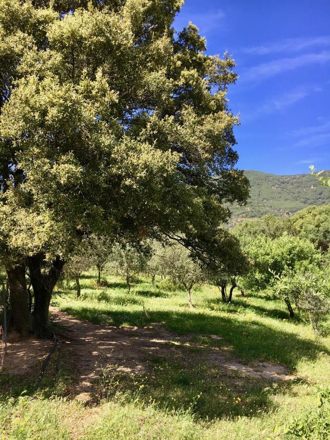 Padru Agriturismo Asara מראה חיצוני תמונה